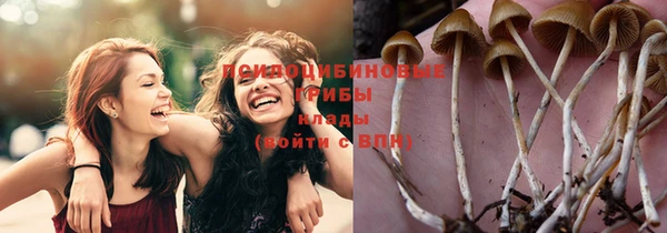 спиды Алзамай